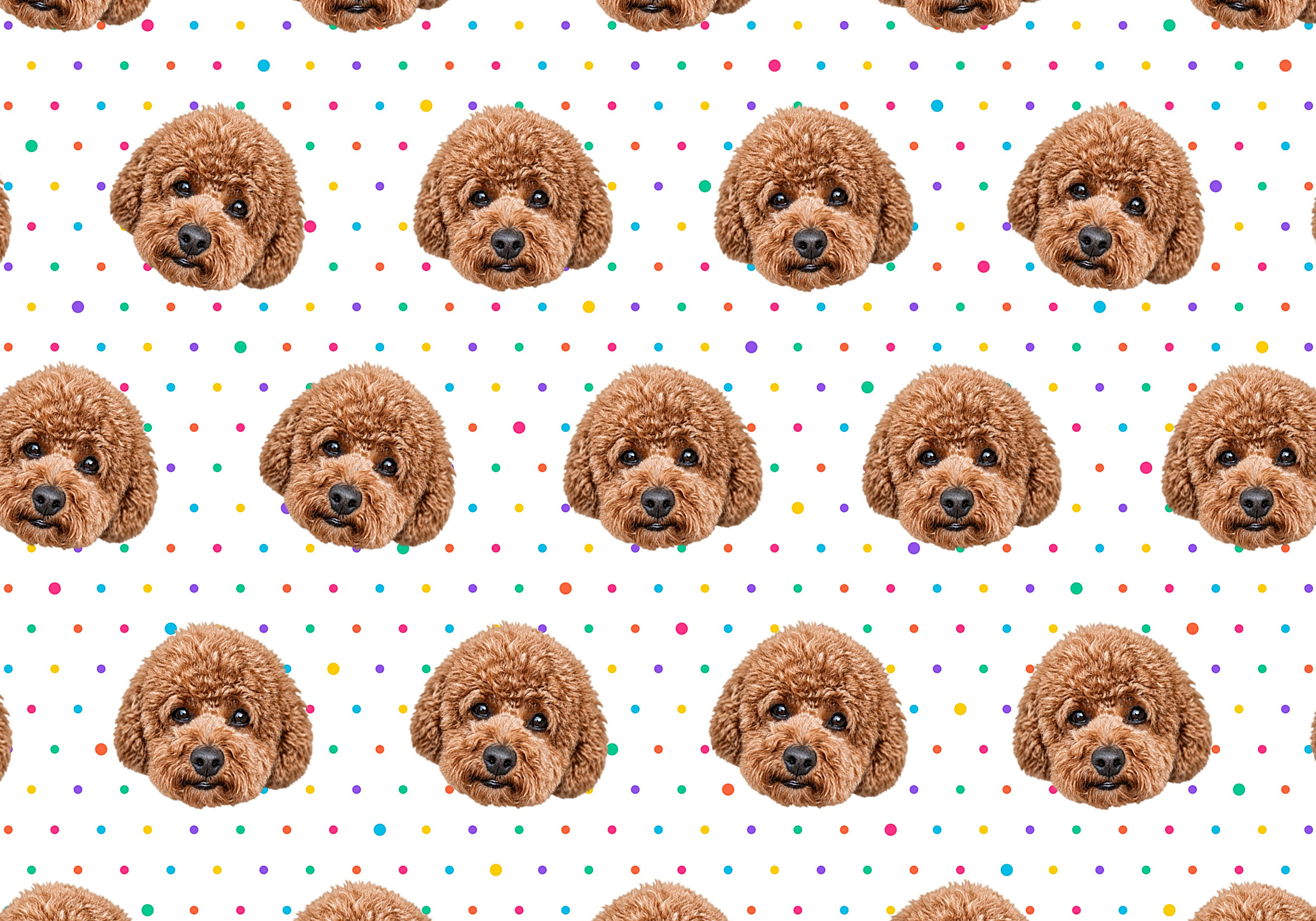 The Birthday Polkadot Gift Wrap