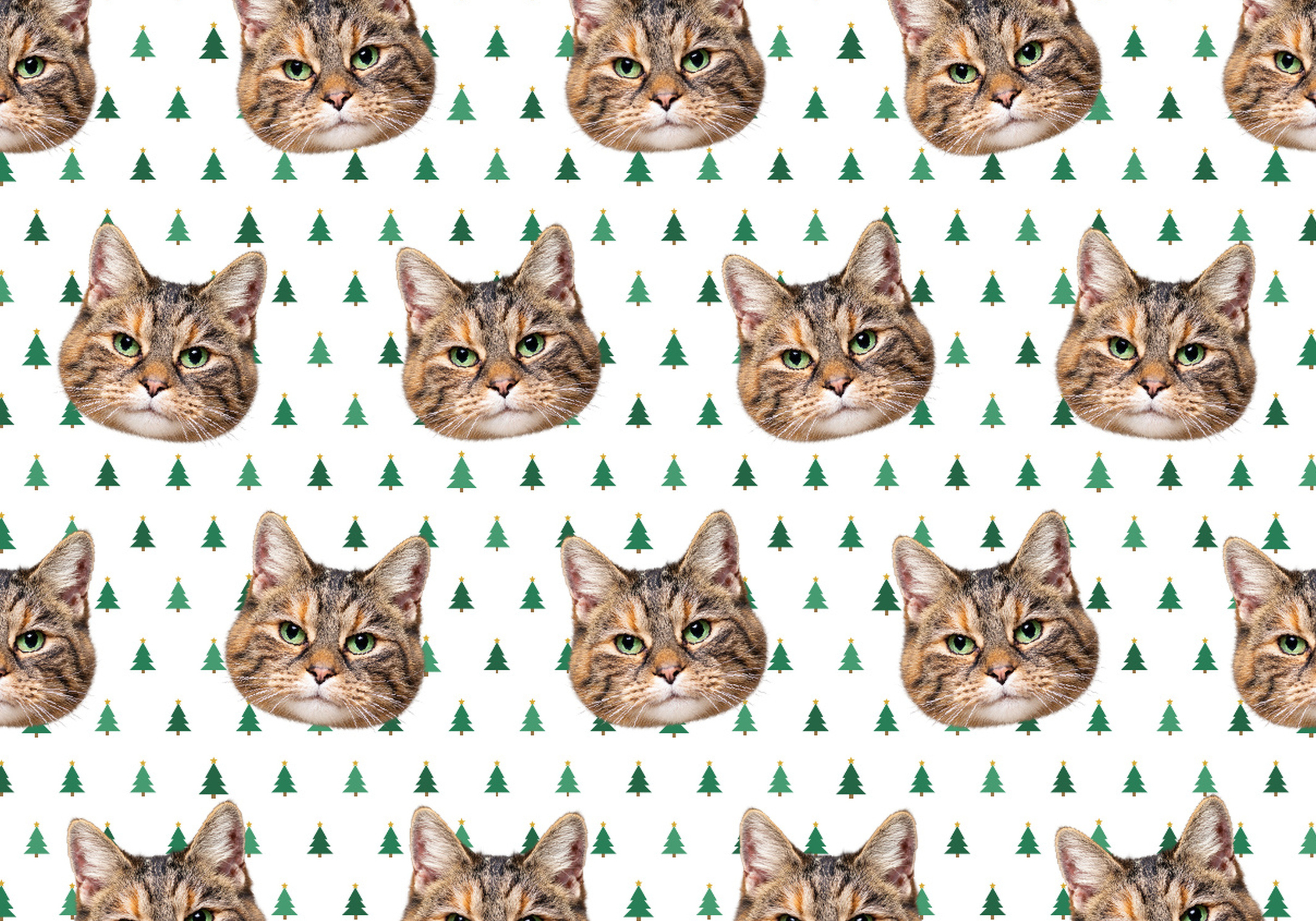 The Christmas Tree Gift Wrap